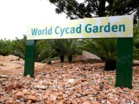 Anderson Park Botanic Gardens - Surfers Paradise Gold Coast 0