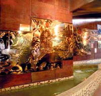 Riversleigh Fossil Centre - Surfers Paradise Gold Coast