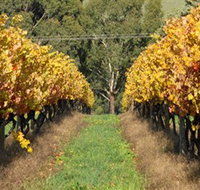 Wild Dog Winery  Restaurant - Surfers Paradise Gold Coast