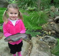 Wild Food Farm  Cafe - Surfers Paradise Gold Coast