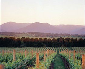 Domaine Chandon - Surfers Paradise Gold Coast 0