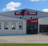 White Fisheries - Surfers Paradise Gold Coast