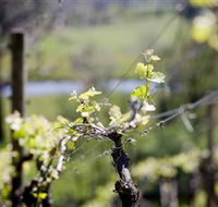 Norton Estate Wines - Surfers Paradise Gold Coast