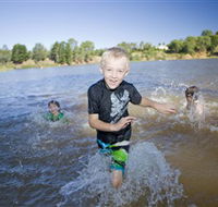 Lake Sambell Reserve - Surfers Paradise Gold Coast