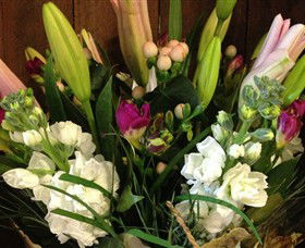 Alpine Blooms Florist Mansfield - Surfers Paradise Gold Coast 0