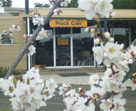 Rayner's Orchard - Surfers Paradise Gold Coast 0