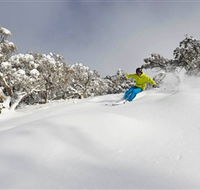 Mt Buller and Mt Stirling Alpine Resort - Surfers Paradise Gold Coast