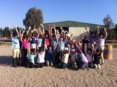 Saddle On Riding School - Surfers Paradise Gold Coast 2
