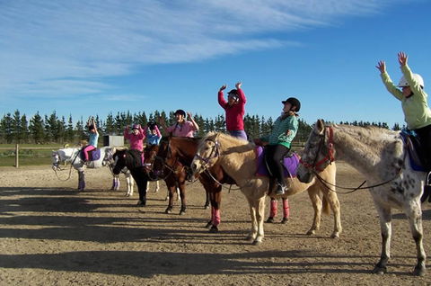 Saddle On Riding School - Surfers Paradise Gold Coast 3
