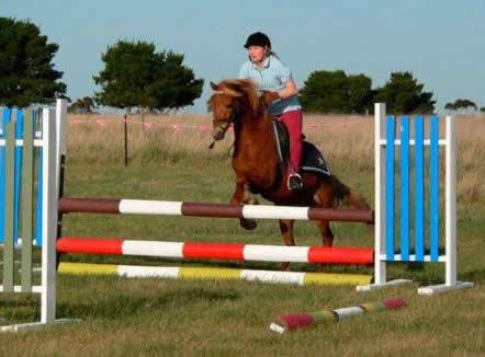 Saddle On Riding School - Surfers Paradise Gold Coast 5
