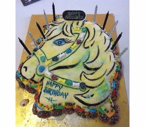 Saddle On Riding School - Surfers Paradise Gold Coast 10