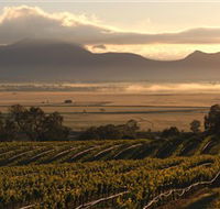 Montara Wines - Surfers Paradise Gold Coast