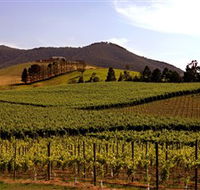 Soumah of Yarra Valley - Surfers Paradise Gold Coast