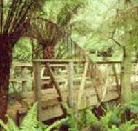 Mount Worth State Park - Surfers Paradise Gold Coast