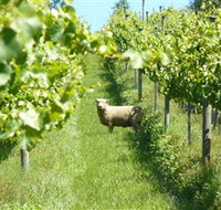 Passing Clouds - Surfers Paradise Gold Coast