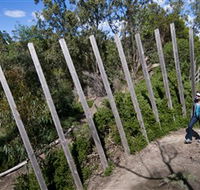 Herring Island Environmental Sculpture Park - Surfers Paradise Gold Coast