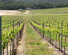 M Chapoutier Australia - Surfers Paradise Gold Coast 0