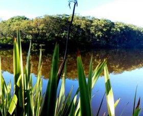 Aura Vale Lake Park - Surfers Paradise Gold Coast 0
