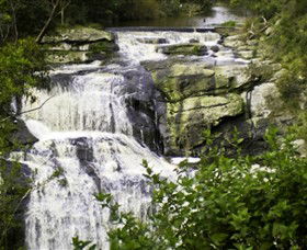 Agnes Falls Scenic Reserve - Surfers Paradise Gold Coast 0