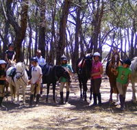 Bellarine Horse Riding Centre - Surfers Paradise Gold Coast