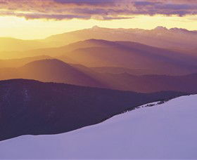 Alpine National Park - Surfers Paradise Gold Coast 0