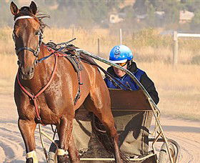 Ballarat & District Trotting Club - Surfers Paradise Gold Coast 0