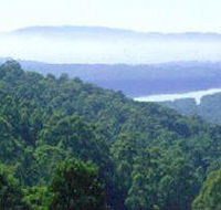 Kalorama Park - Surfers Paradise Gold Coast