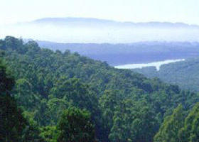 Kalorama Park - Surfers Paradise Gold Coast 0