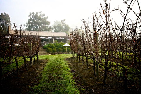 GREENSTONE VINEYARDS - Surfers Paradise Gold Coast 4