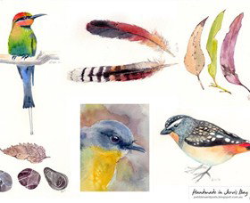 Pebbles And Pods - Surfers Paradise Gold Coast 0