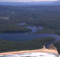 Timbertops - Horse Riding - Surfers Paradise Gold Coast