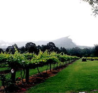 Cambewarra Estate Wines - Surfers Paradise Gold Coast