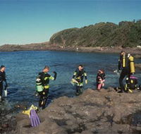 Bushrangers Bay Aquatic Reserve - Surfers Paradise Gold Coast