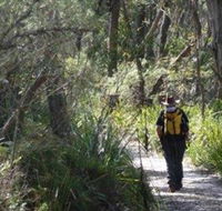 Barren Grounds Nature Reserve - Surfers Paradise Gold Coast