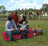 Blackbutt Forest Reserve - Surfers Paradise Gold Coast