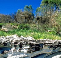 Abrahams Bosom Reserve - Surfers Paradise Gold Coast