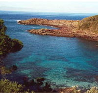 Bass Point Reserve - Surfers Paradise Gold Coast