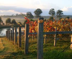 Roses Vineyard At Innes View - Surfers Paradise Gold Coast 2