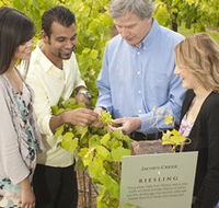 Jacob's Creek Vineyard Tour - Surfers Paradise Gold Coast
