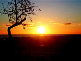 Rocky Ridge Vineyard And Cellar Door - Surfers Paradise Gold Coast 0