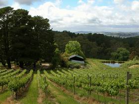 Arranmore Wines - Surfers Paradise Gold Coast 0