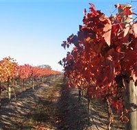 Kooyonga Creek Wines - Surfers Paradise Gold Coast