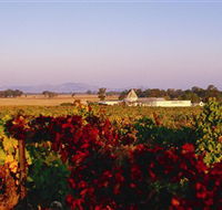 Morris Wines - Surfers Paradise Gold Coast