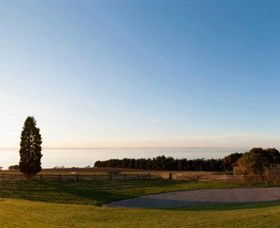 Jack Rabbit Vineyard - Surfers Paradise Gold Coast 3