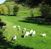 Karmic Goat Soapworks - Surfers Paradise Gold Coast