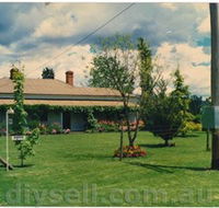 Tumut Valley Violets - Surfers Paradise Gold Coast