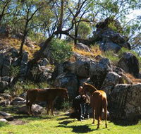 Coomba Falls - Surfers Paradise Gold Coast