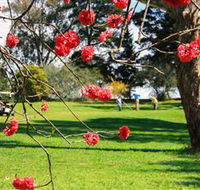 The Yass Golf Club - Surfers Paradise Gold Coast