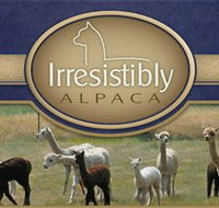 Marchmont Park Alpacas - Surfers Paradise Gold Coast