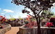 The Water Garden At Mayfield Garden - thumb 2